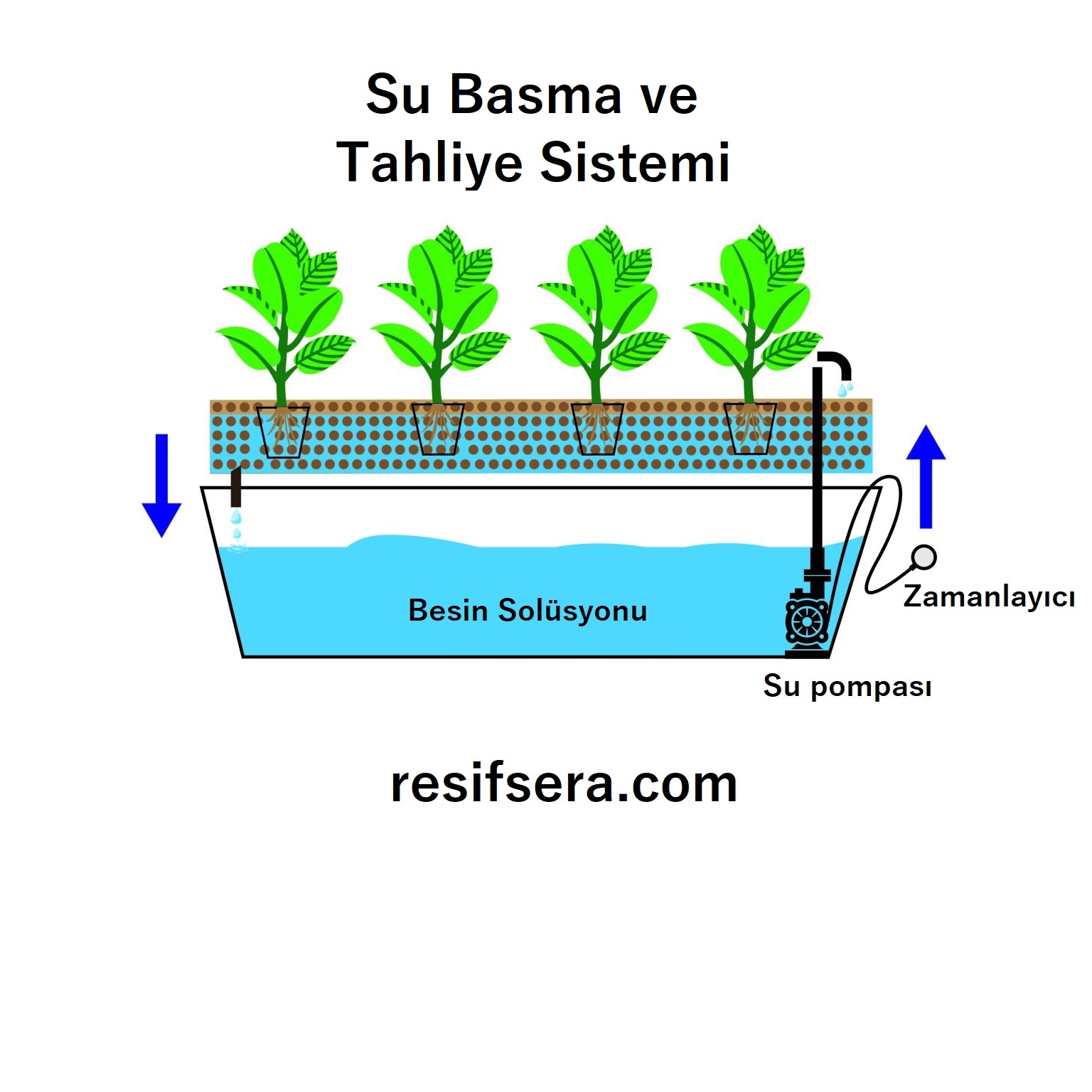 Hidrofonik Yetiştiricilikte Su Basma ve Tahliye Sistemi
